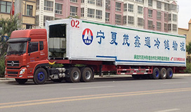 ������Ŀ