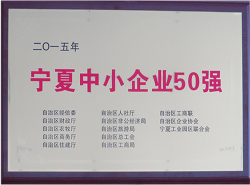 ������С��ҵ50ǿ