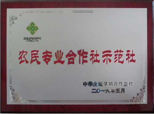 ũҵרҵ������ʾ����